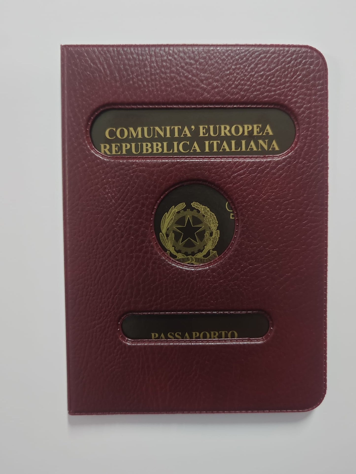 Custodia Passaporto In Similpelle RFG 250PI