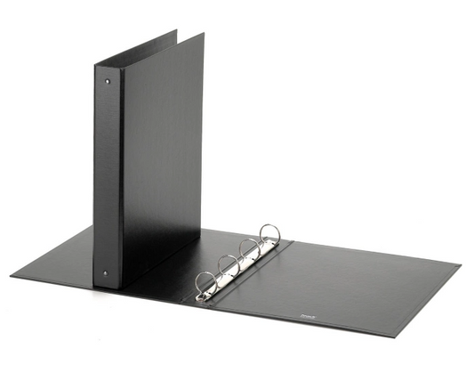 Raccoglitore Ad Anelli A4 Europa Favorit 22X30 D.30